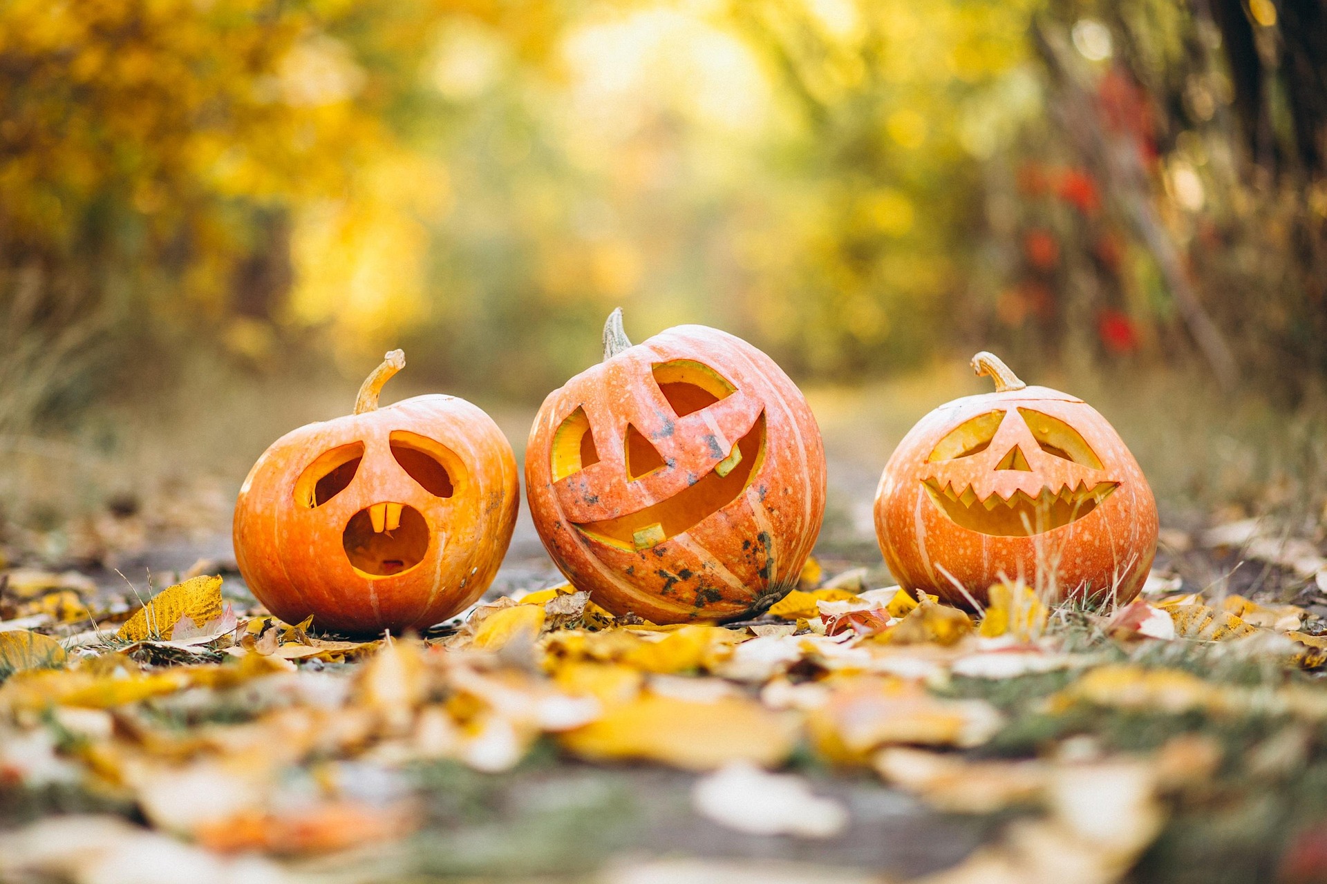 🎃 Casting Halloween 2026 – Danseurs-acrobates hommes recherchés